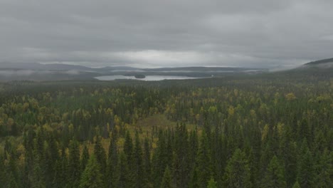 drone aerial footage of a misty forest with a lake at the horizon