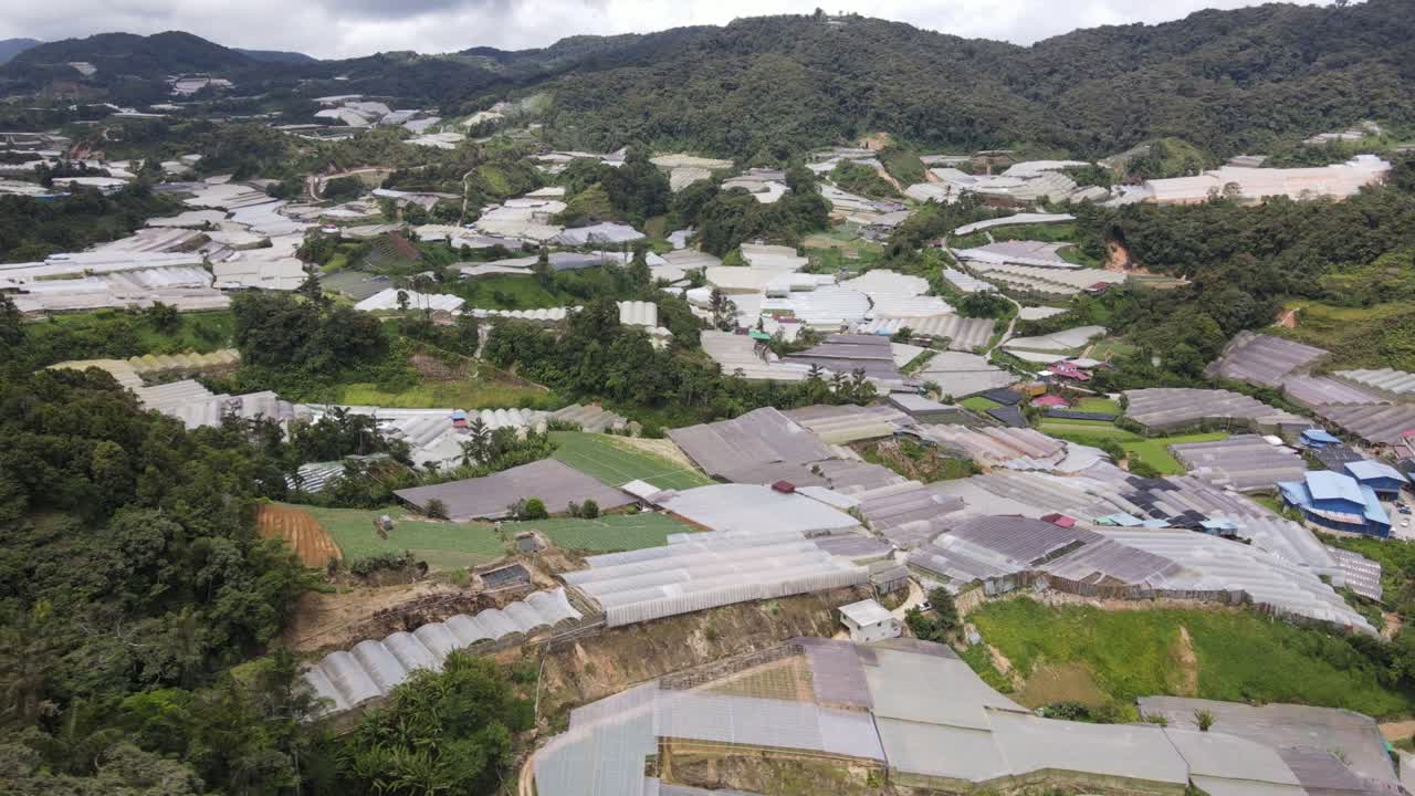 말레이시아의 카메론 하이랜드 지역 내의 브린창 지역의 일반 풍경