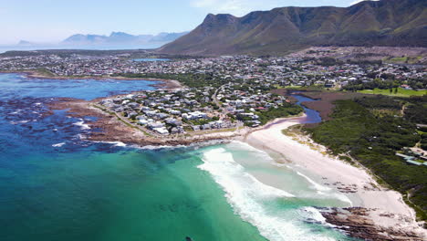 whale and calf just behind waves in shallows of beach, onrus, cape whale coast