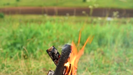 burning bonfire in nature during the camping.