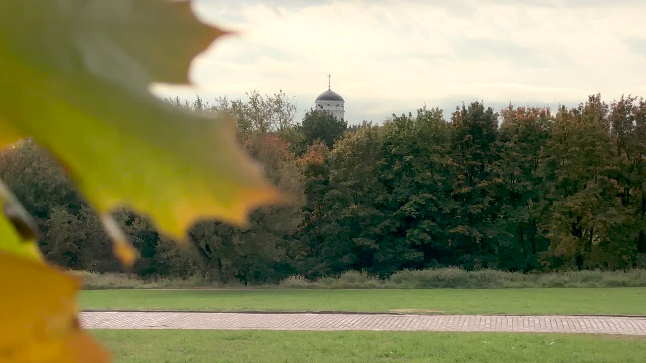 Autumn yellow maple leaf on a colorful background (4K60)