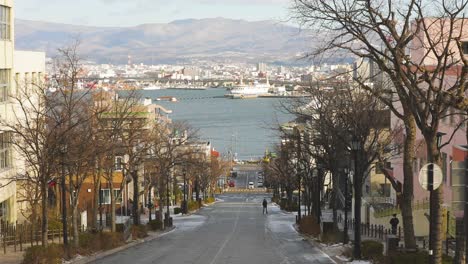 the best view in hakodate