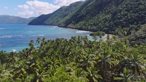 magnífico paisaje con palmeras y playa en samaná durante un día soleado