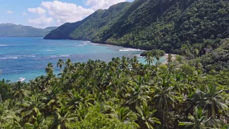 magnífico paisaje con palmeras y playa en samaná durante un día soleado