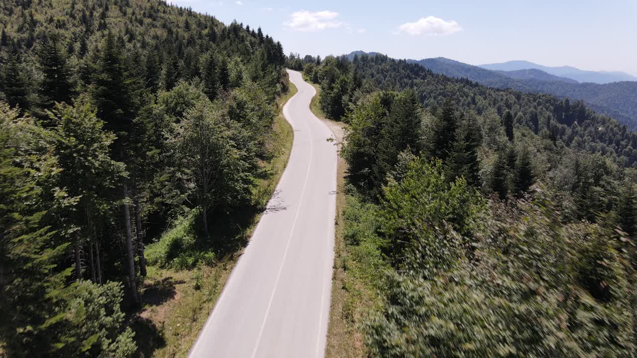 Car Traveling Middle Forest 2