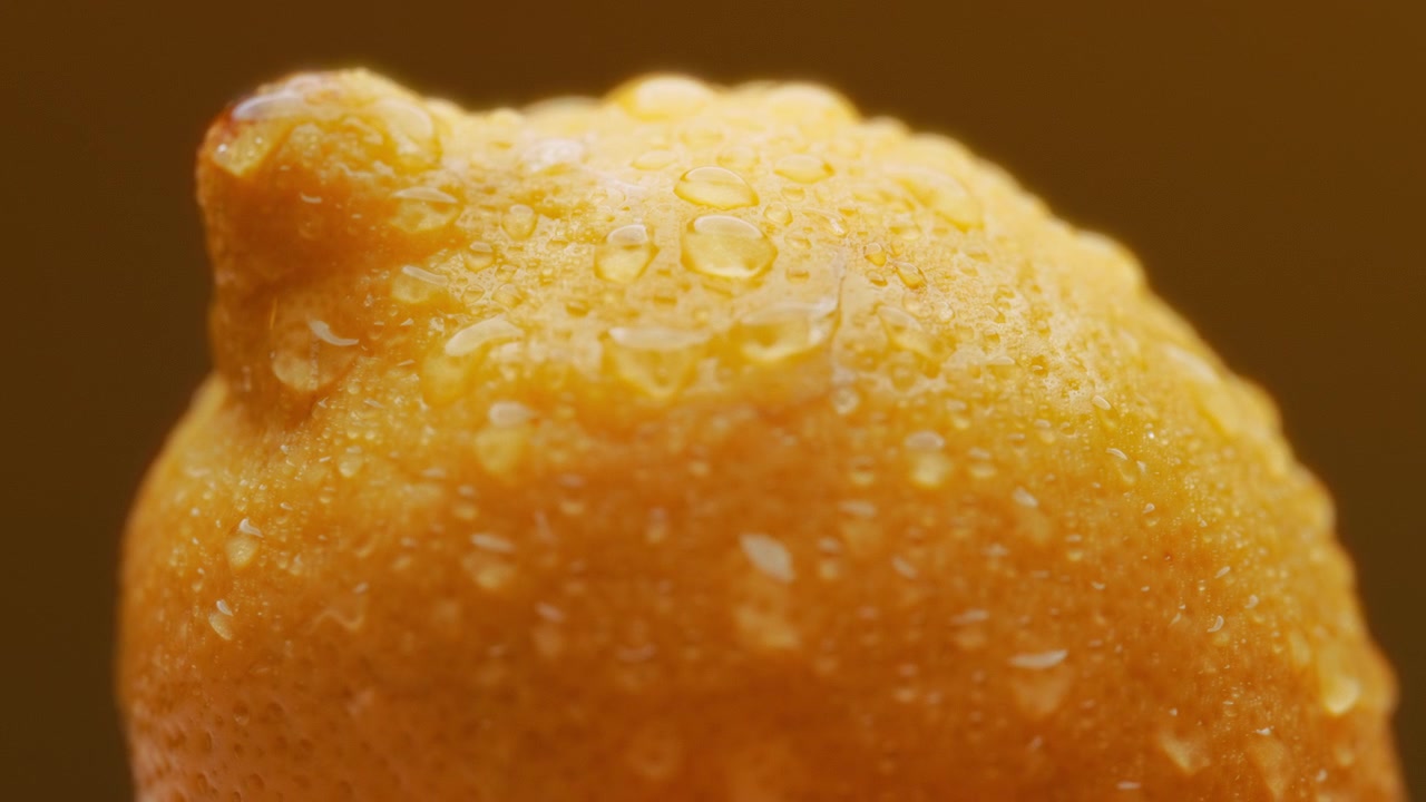 Lemon dengan tetesan air di latar belakang oranye