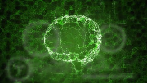Animation-of-human-brain-made-of-connections-over-green-web-of-connections