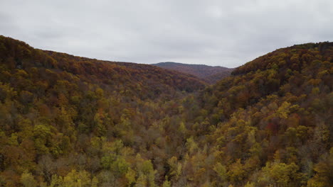 Autumn-foliage-fills-valley-in-the-Ozark-National-Forest-of-Arkansas-with-orange-and-yellow