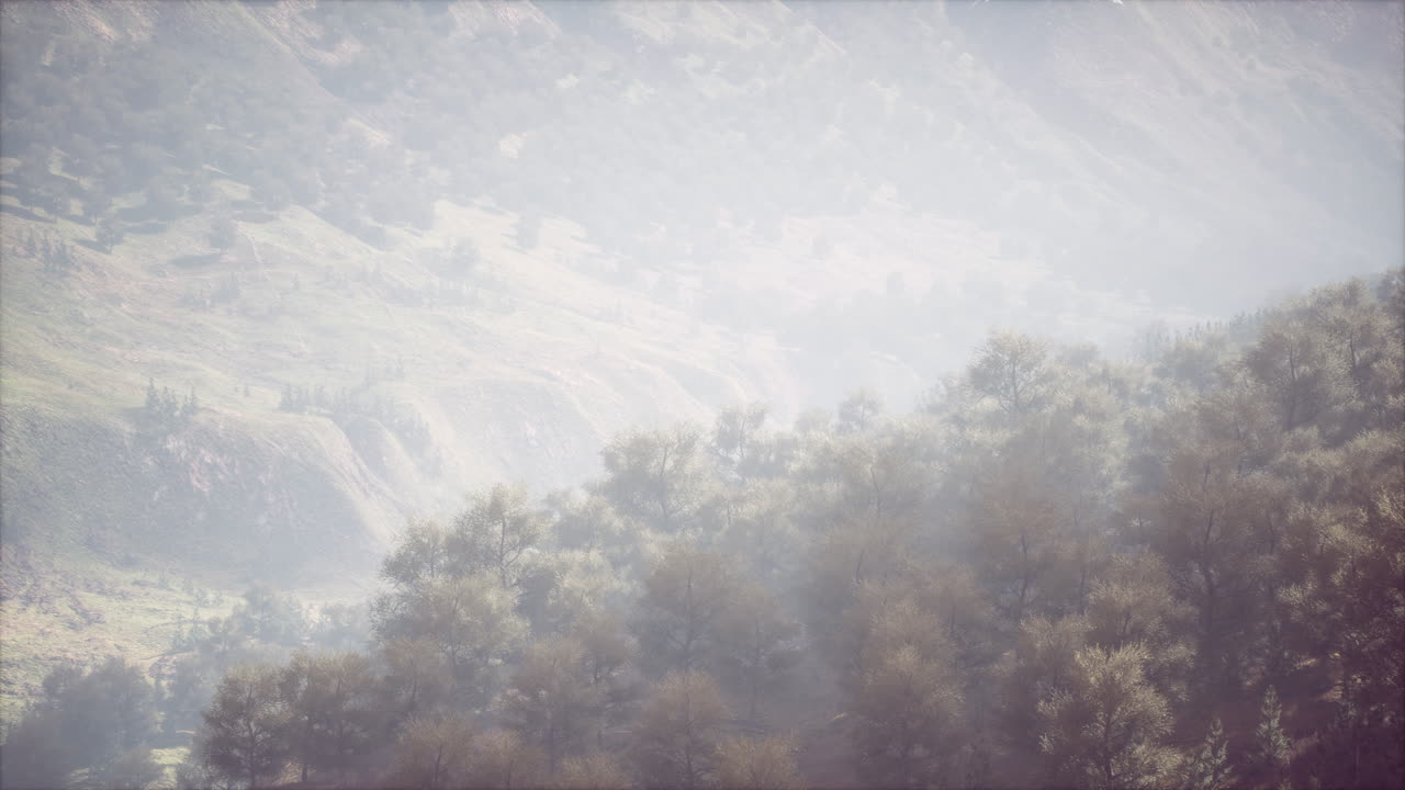 안개가 가득한 산 계곡