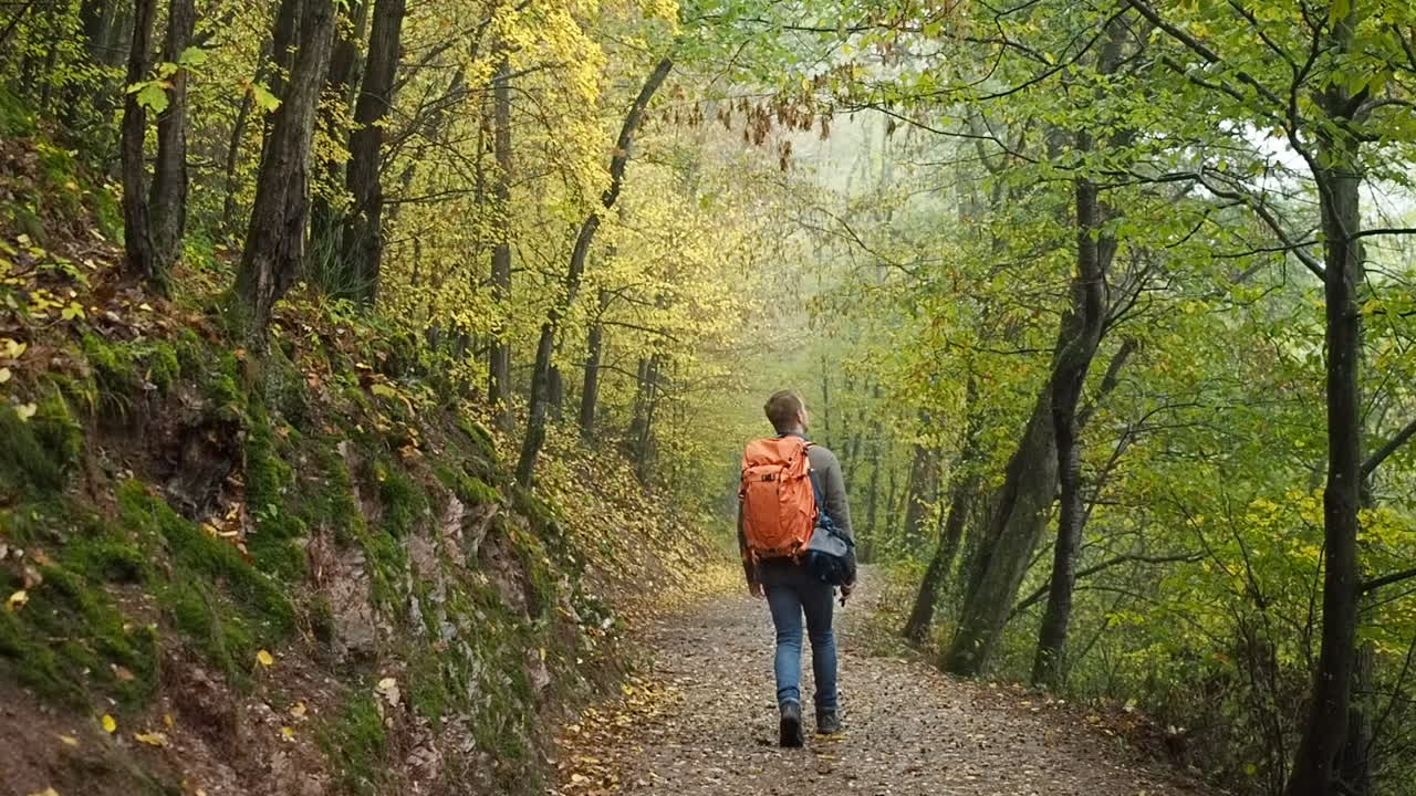 joven explorando bosques en eifel alemania mochilero