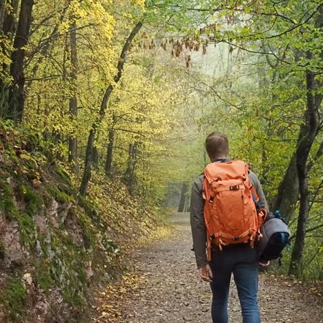 Junger-Mann,-Der-Wald-In-Der-Eifel-Erkundet,-Deutschland-Rucksackreisen