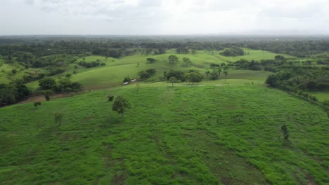 Vista-Desde-Arriba-Del-Claro-En-Los-Humedales