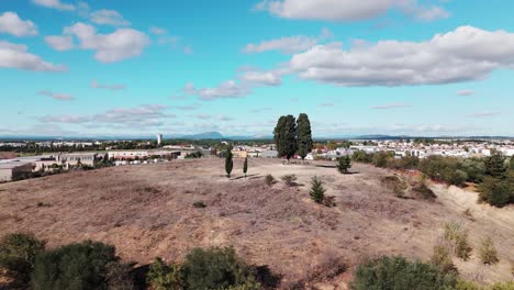 montpellier's twin cypress trees: landmarks in the commune of saint aunes