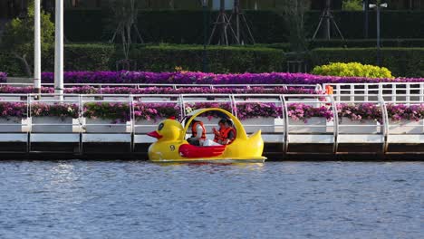 people enjoying a pedal boat ride on water