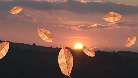 digital composition of multiple autumn leaves icons falling against sunset