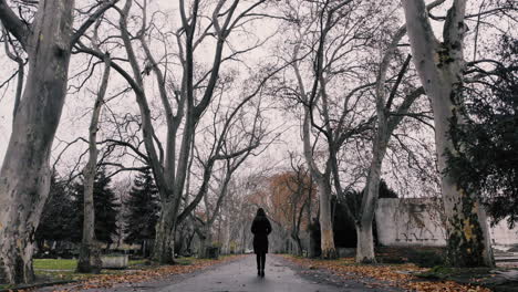 Lonely-young-woman-walking-alone-in-a-park-on-a-cloudy-day