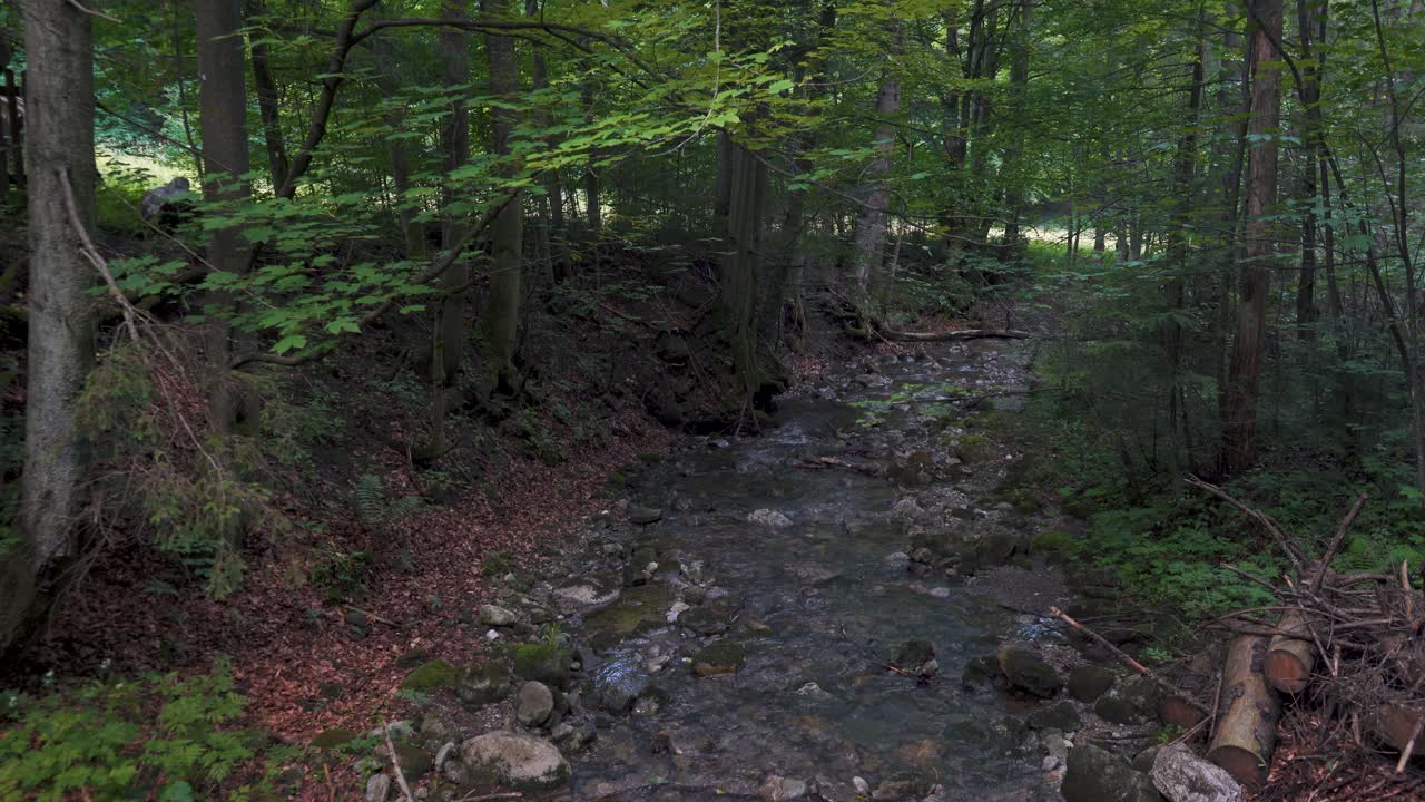 parque nacional de la montaña tatra zakopane polonia