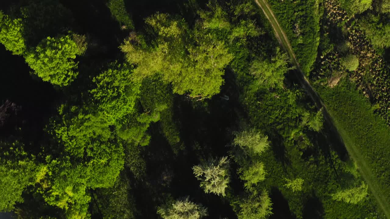 maravillosa vista superior de un dron volador sobre un prado verde con árboles verdes a lo largo de un pequeño arroyo en un campo primaveral alemán
