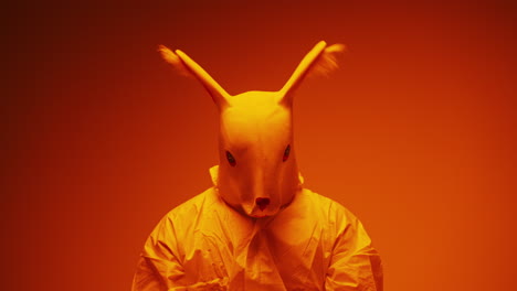 person in a rabbit mask