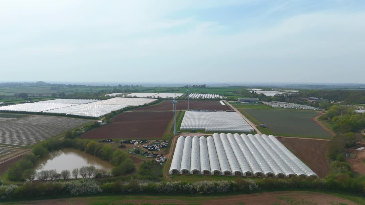 Aerial Drone View of Polytunnels and Wind Turbines in Rural Agricultural Landscape of England on a Bright Spring Day