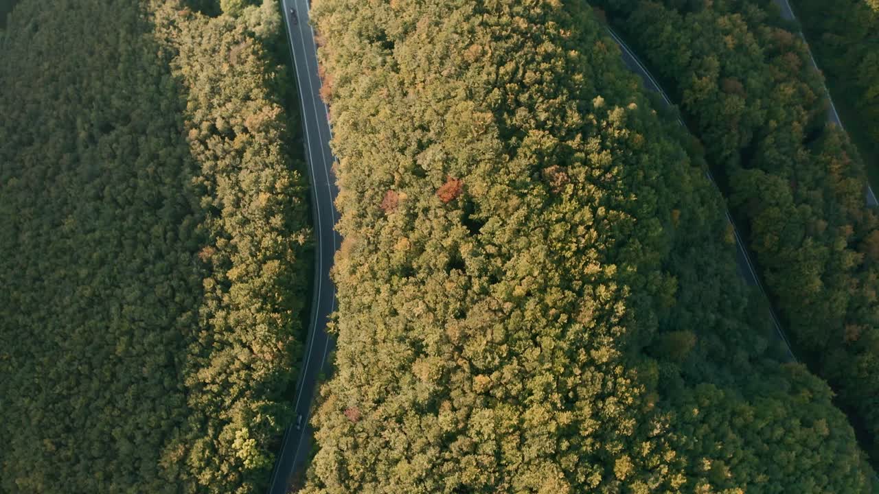 toma aérea de drones perseguidores de autos conduciendo en un sinuoso camino de montaña en medio de un bosque