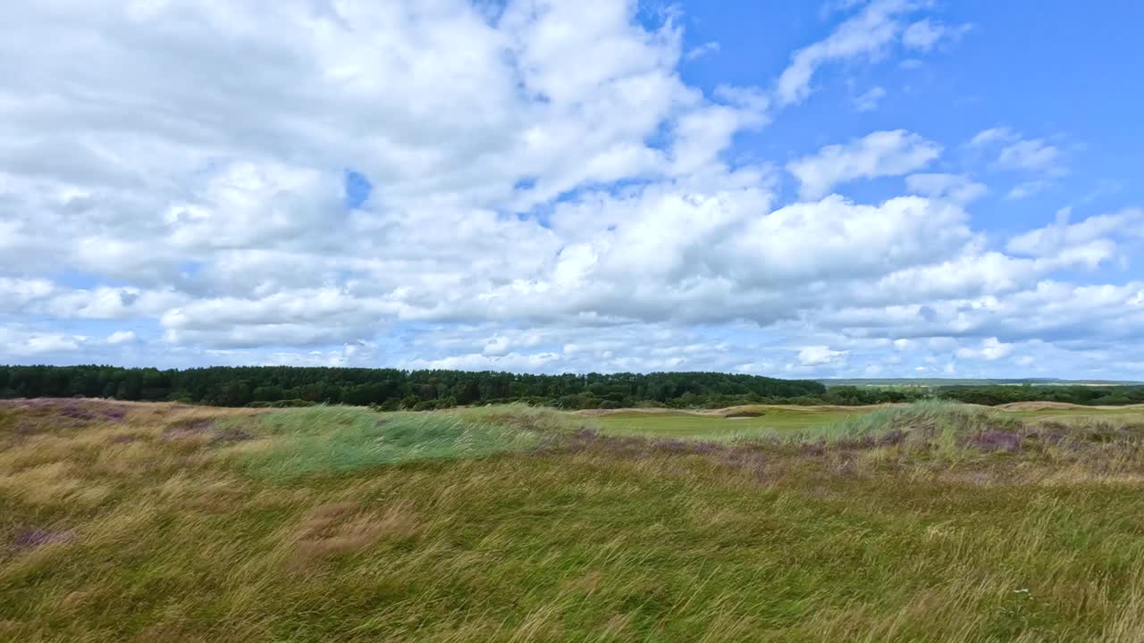 Camera moves smoothly past vibrant heather fields and grassy hills under a bright blue sky with scattered clouds, capturing the rural Scottish landscape in daylight