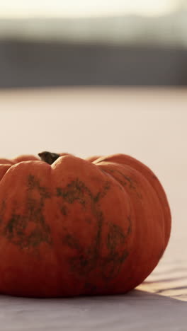 un primer plano de una sola calabaza naranja