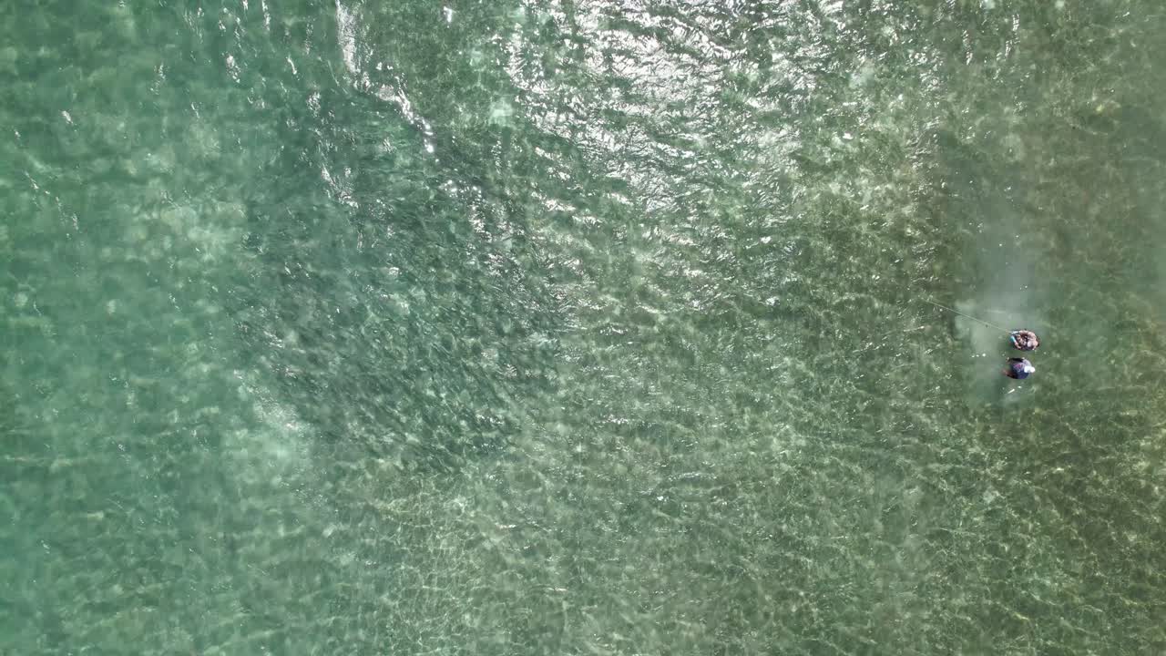 los hombres vuelan a pescar un grupo de peces de hueso, usan caña de pescar en aguas planas, vista aérea del cenit del mar caribe