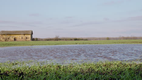 Farmland-after-the-heavy-rain-at-a-windy-day