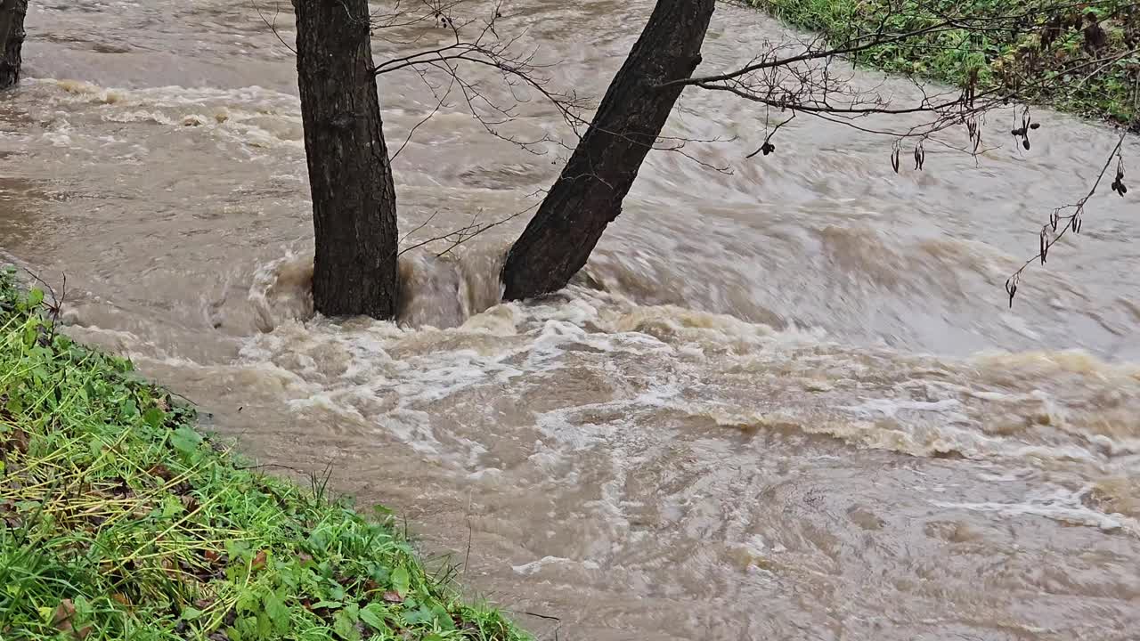 Massive water masses in anger The raging river after heavy rain