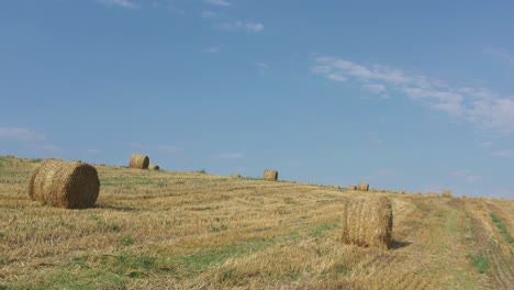 slow tilt on field of wheat after harvest 4k tilting video