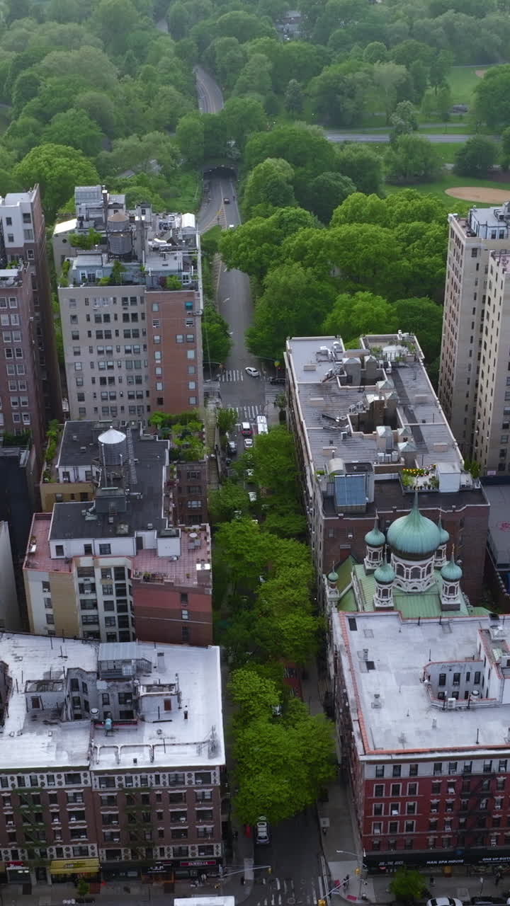 Good-looking residential area with park behind. Green nature area in the metropolis of New York. Top view. Vertical video