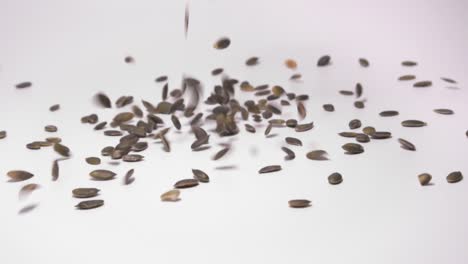 roasted and shelled pumpkin seeds falling and scattering on clean surface isolated in white background