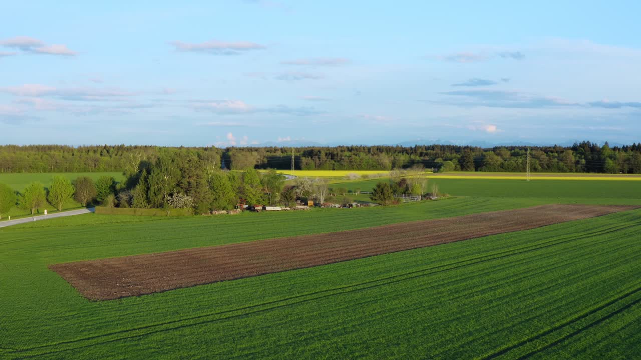 Aufsteigende Drohnenaufnahme über landwirtschaftlichen Feldern im Frühling mit Alpenpanorama im Hintergrund an einem blauen Himmelstag