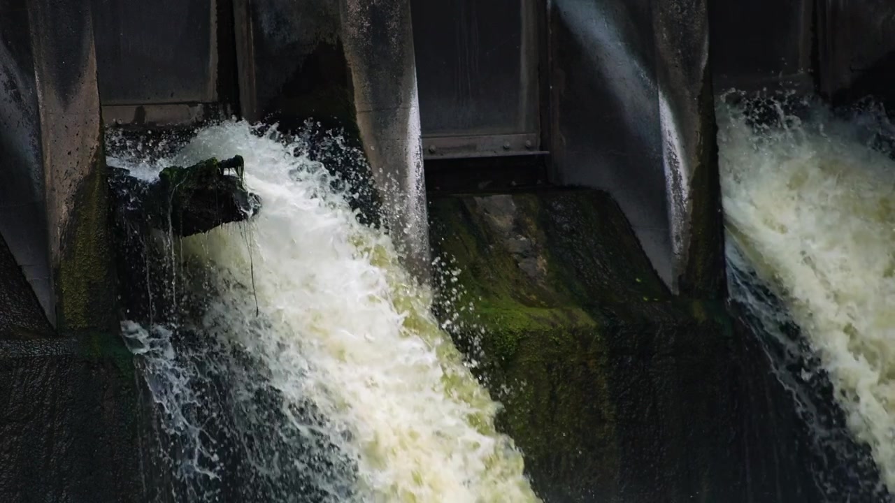 Filmato al rallentatore di acqua bianca potente e turbolenta che scorre impetuosamente attraverso le paratoie aperte di una grande diga di cemento, scendendo a cascata lungo pareti erose e ricoperte di muschio.