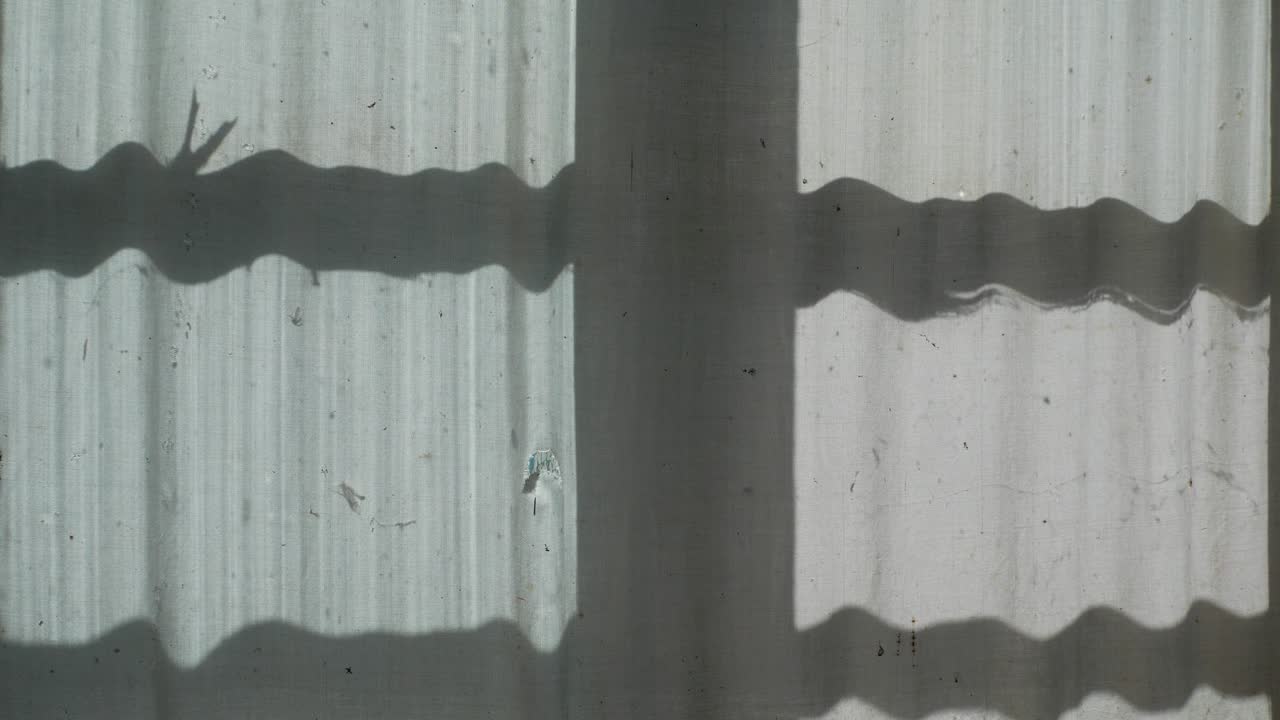 창문의 그림자와 커튼에 있는 나비