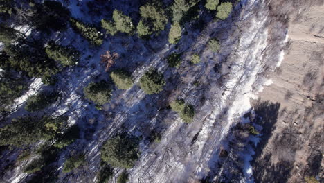 Aerial-top-down-of-a-snowy-winter-valley-with-pine-trees-in-the-mountains