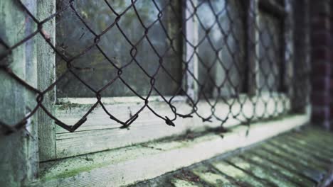 old window with chain link fence