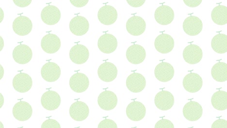 melon illustration loop animation.