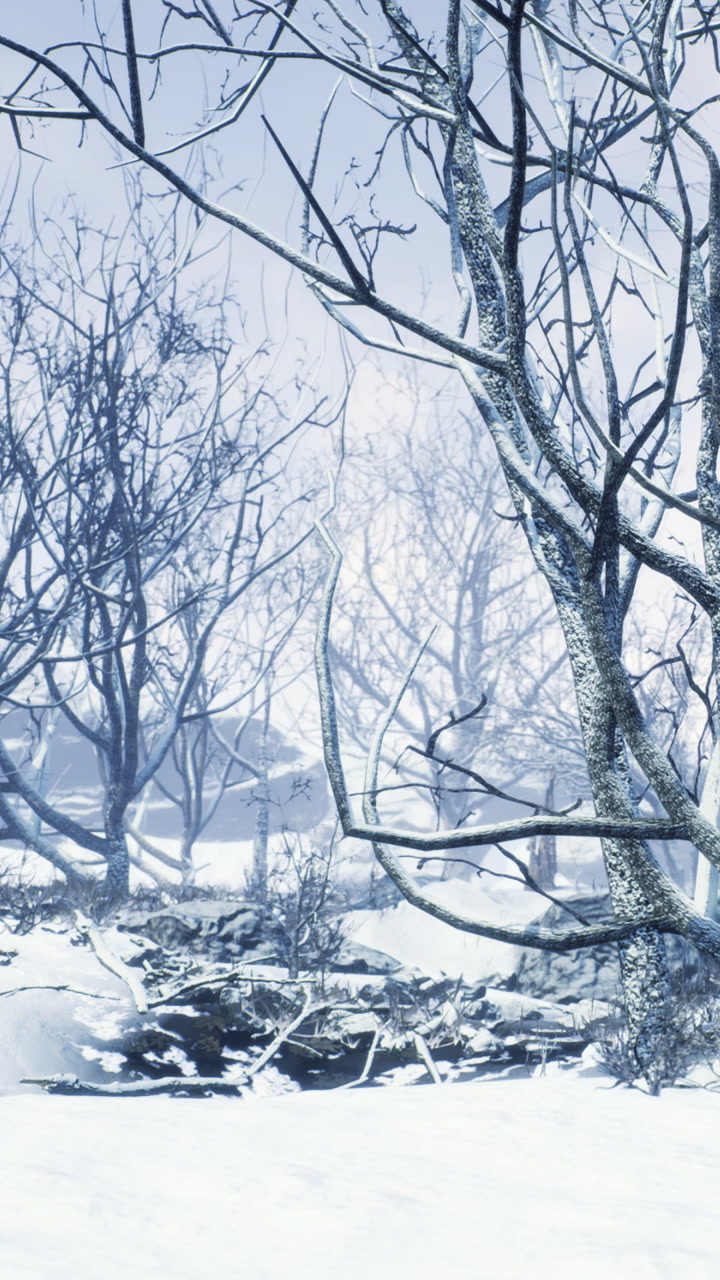 Winter landscape with bare trees and snow covering the ground in cold weather