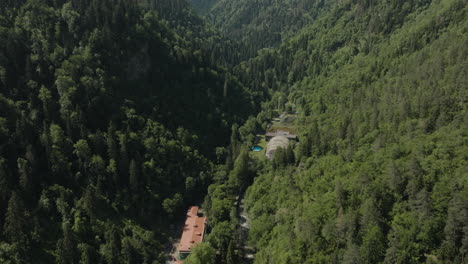 lush green forest and valley in the mountains on a sunny day in georgia