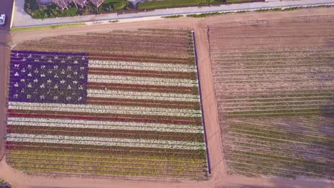 an aerial shot over a giant american flag made of flowers 1