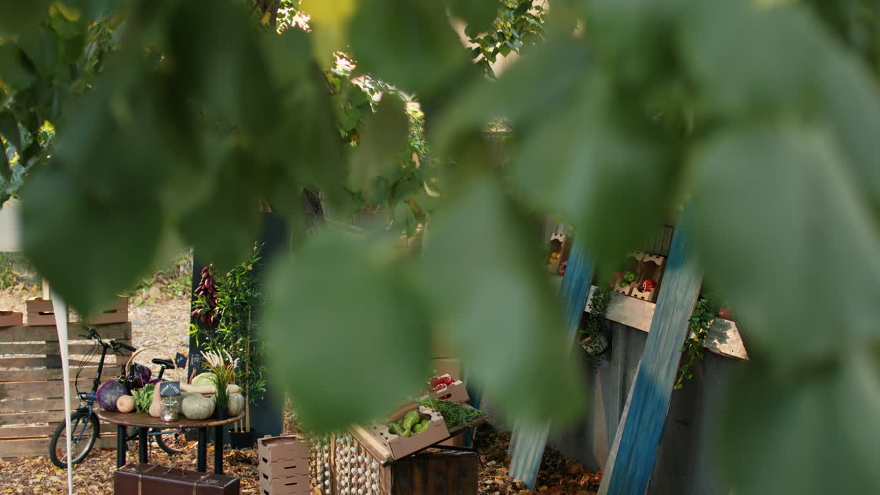 Autumn Farmers Market with Fresh Produce