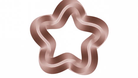 rose gold star shape design