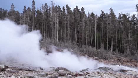 el vapor y el agua surgen de un geyser en el parque nacional de yellowstone.