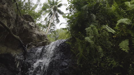 small waterfall stream falling down from small rocky cliff surrounded by dense jungle forest