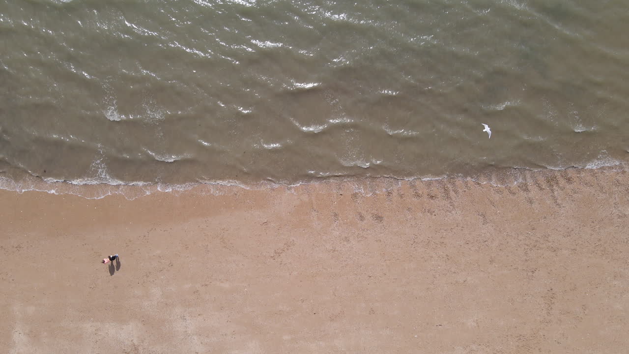 Aerial Beach Drone Shot. Drone Over Sandy Beach. 4k Stock Video Aerial View Of Kids Playing On  Sandy Beach with Seagulls.