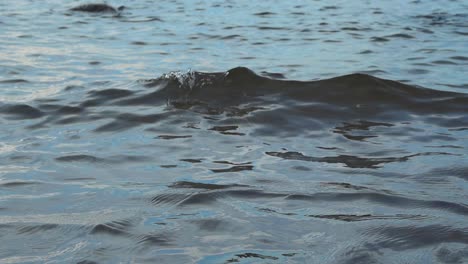 slow motion footage of ocean sea water waves during the summer time in suurupi beach in estonia while the water is reflecting light