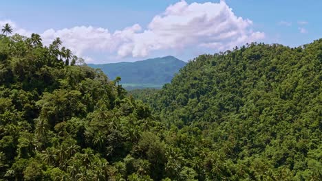 una densa selva enmarcando una alta montaña en la distancia