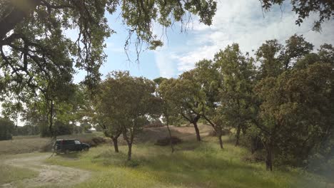 Tripod-shot-showing-some-trees-and-a-blue-sky-with-clouds